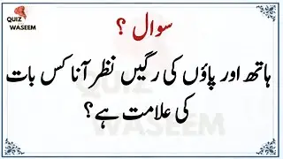 Top Islamic Questions Answers | Islamic Quiz | Islamic Paheliyan | Islami Sawal Jawab | Urdu Quiz