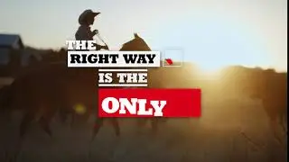 Beef Quality Assurance: The Right Way