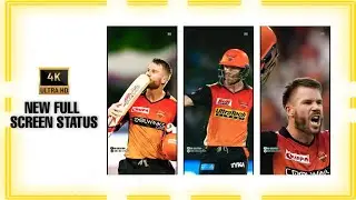 NEW FULL SCREEN STATUS ( SUNRISES HYDERABAD) DAVID WARNER WHATSAPP STATUS 2021