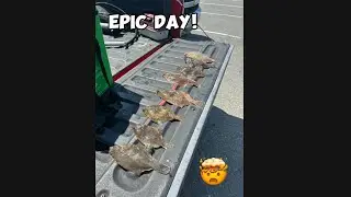 Amazing day of fluke fishing ON THE DINGY! we had a blast! 😆😆😆 #fishing
