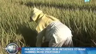 PhilRice scholars' new initiatives to make farming more profitable