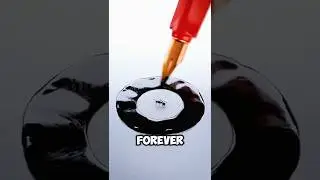 🐜😱 Этот невероятный трюк мгновенно сбивает муравьев с толку! Умопомрачительный лайфхак для муравь...