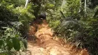 Borneo Safari 2020