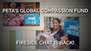 PETA&rsquo;s Global Compassion Fund Fireside Chat is Back!