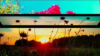 📽️📀🎼 Игра - естественное соперничество #musicvideo
