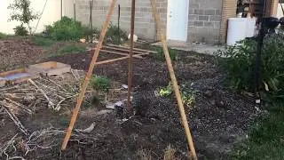 Three Dimensional Squash Growing