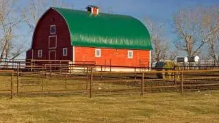 Farmyard | Ambience | HD