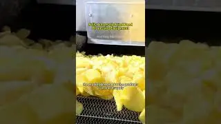 Potato processing equipment#fyp #potatochips #potato #potatoprocessing #potatomachine