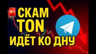 🚨 СКАМ TON? Крипта идёт ко дну!
