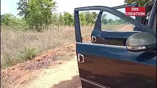 Barapahad forest, Bargarh