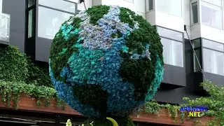 NYC enjoys the The L.E.A.F. Flower Festival in the Meatpacking District