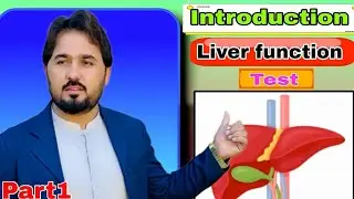 Liver Function Test (LFT) | Complete Explanation in Urdu