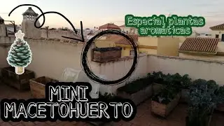 Huerto urbano, MACETOHUERTO MINI ideal para plantas#huerto #huertourbano #plantas #arom&aacute;ticas