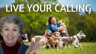 Meet Your Future Self as a Confident Animal Communicator