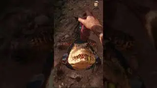 Feeding Guapo Far Cry 6 #shorts