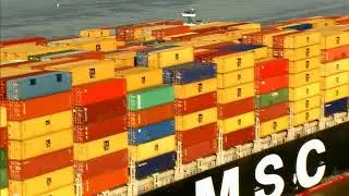International Cargo Shipping: The Oceans 2017 | MSC
