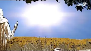 XVII Domenica Tempo Ordinario (Anno C)