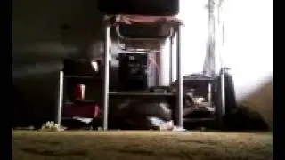 free step Thi@guinho X-Pectro.mp4