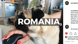 Global Work From Home Day 2019 - Summary