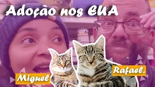 #ADO&Ccedil;&Atilde;O DE #PETS NOS EUA. BEM-VINDO MIGUEL E RAFAEL.