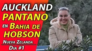 PANTANO  en Bahía de HOBSON. Primer día en AUCKLAND de NUEVA ZELANDA.