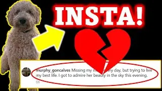 😢JACK DECOEUR - INSTAGRAM FOR MURPHY!