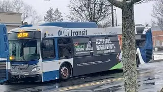 Ride on CTtransit #1614 on Route 50C to Capaco Shopping Center