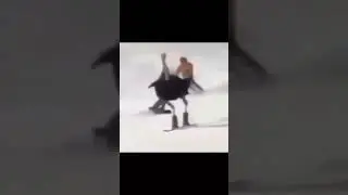 random memes found on tiktok [v. 3] #tiktokfunnyvideo #memeclips #dankmemes #animefunny #gamingmemes
