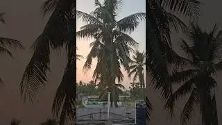 nature God gift