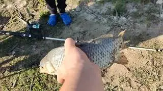 Первый Серёжкин трофей. Водохранилище Беюс.( Embalse Bellus )