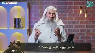 220 - فتاوى البث المباشر || الشيخ وحيد بالي