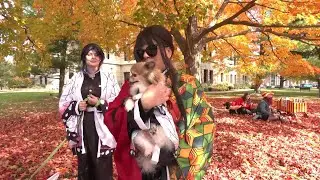 Mason's doggie trick-or-treat parade aids animal shelter
