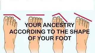 Determine Your Ancestry According to The Shape of Your Foot #Ancestry #Genealogy #FootShape #Fact