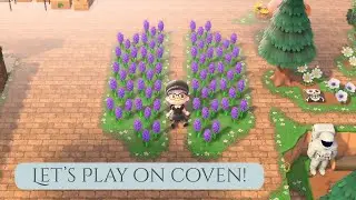 ACNH: Coven DA Tour