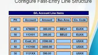 SAP FICO Line Item Configuration