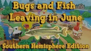 Every Bug and Fish Leaving in June on the Southern Hemisphere: Animal Crossing New Horizons