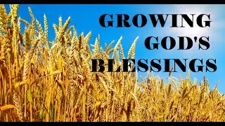 Growing God&rsquo;s Blessings &ndash; Revealing Essential Scripture &ndash; Christian Devotional