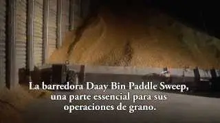 Daay Bin Paddle Sweep (En espa&ntilde;ol)