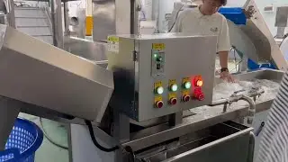 Semi-automatic vegetable washing machine for washing cabbage  半自動洗菜機清洗椰菜