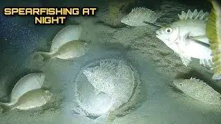 Night Spearfishing Hunting Fresh Seafoods Palawan Philippines Episode 5