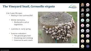Pest Watch Webinar Series: Strategies for Specialty Crop Protection 2025, Part 2