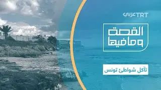 تآكل الشواطئ في تونس