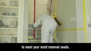 Mold Removal in Omaha, NE