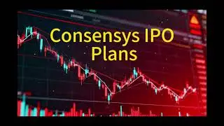 Consensys IPO Plans