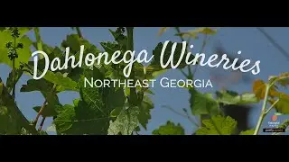 Dahlonega, Georgia Wineries