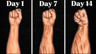 Want BIGGER forearms? DO THESE (5 Best Forearms Exercises)