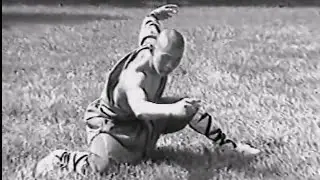 SHAOLIN KUNG FU: Drunken tactics (zui quan)