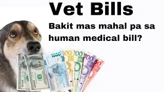 Bakit Mahal ang Vet Bills?