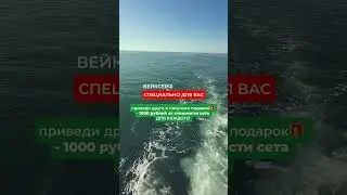 Вейксерф в Сочи! Акция!