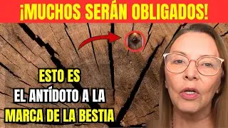 LUZ DE MARÍA: VIRGEN EXPLICA CÓMO RECIBIR PROTECCIÓN DIVINA ANTE LA MARCA DE LA BESTIA! MIRA EL PLAN